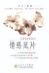 情感底片
