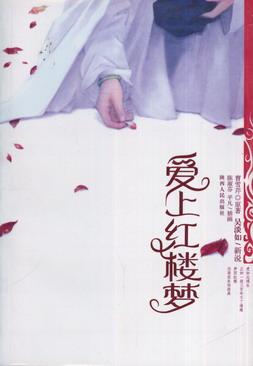 爱上红楼梦