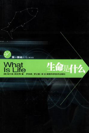 生命是什么