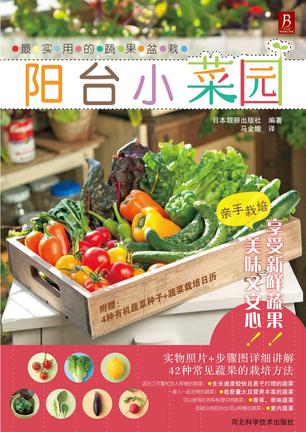 最实用的蔬果盆栽：阳台小菜园