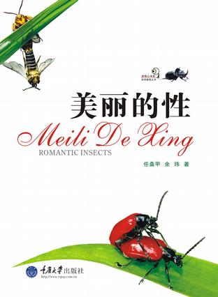 美丽的性