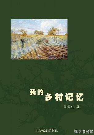 我的乡村记忆