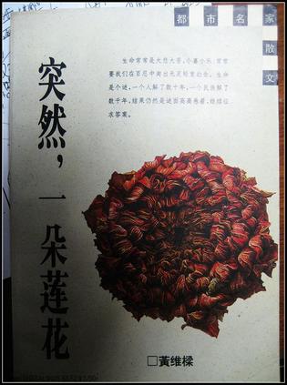 突然一朵莲花