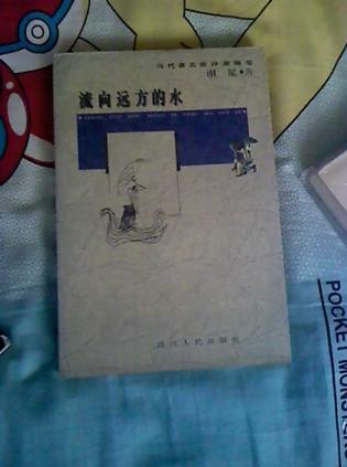 流向远方的水