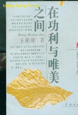 在功利与唯美之间