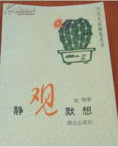 静观默想