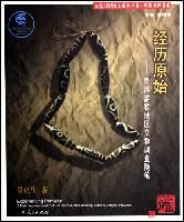 经历原始:青海游牧地区文化调查随笔