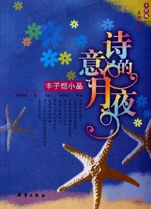 诗意的月夜