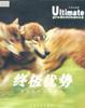终极优势