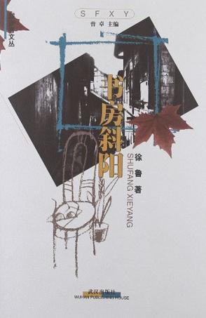 书房斜阳