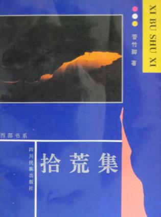 拾荒集