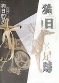 徐坤作品精华·狗日的足球