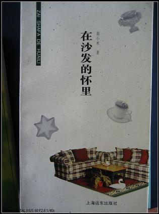 在沙发的怀里
