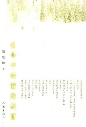 生命中动情的美丽