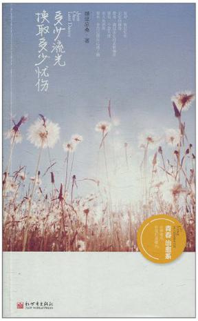 多少流光换取多少忧伤