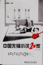 中国先锋小说20家