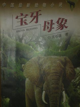 宝牙母象