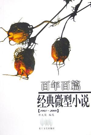 百年百篇经典微型小说