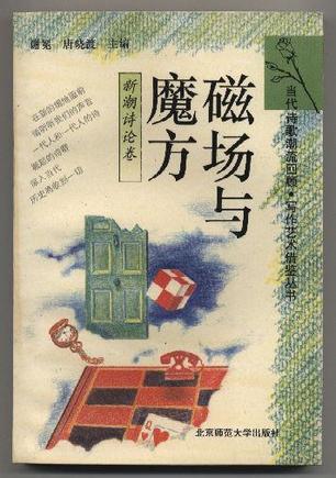 磁场与魔方