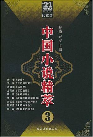 中国小说精萃3