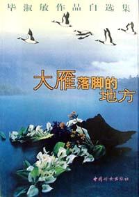 大雁落脚的地方