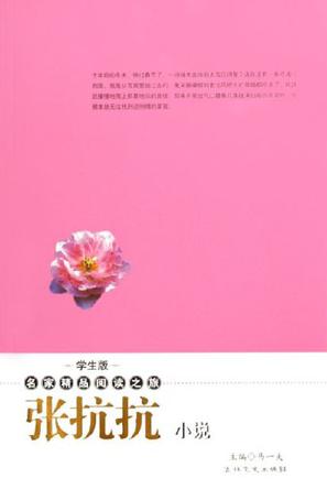 张抗抗小说