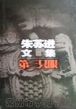 朱苏进文集·第三只眼