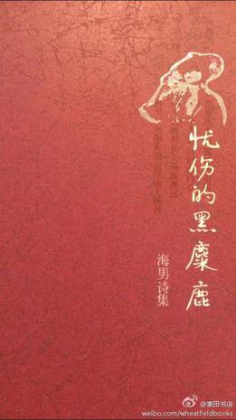 忧伤的黑麋鹿