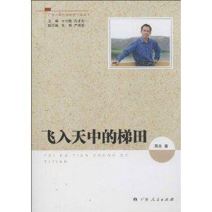 飞入天中的梯田