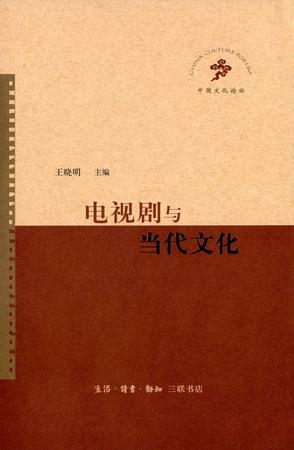 电视剧与当代文化