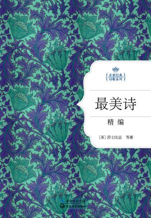 最美诗精编
