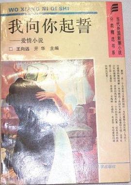 我向你起誓