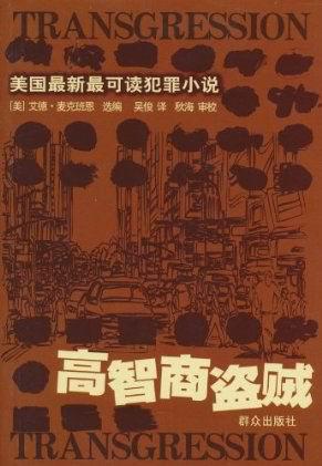 高智商盗贼