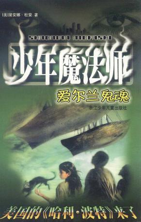 少年魔法师