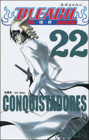 BLEACH 境·界22