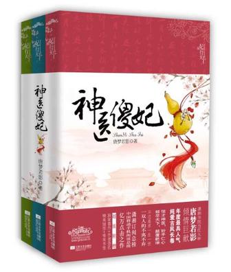 神医傻妃（上中下）