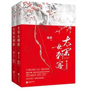 大宋女刺客·完美终结