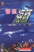 情系海豚