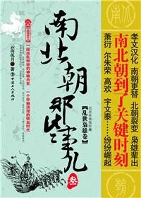 乱世枭雄卷-南北朝那些事儿-叁