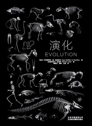 演化