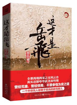 这才是岳飞
