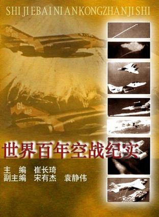 世界百年空战纪实