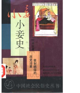 小妾史