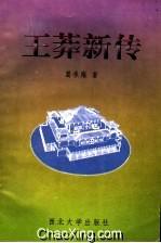 王莽新传