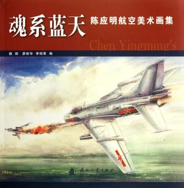 魂系蓝天-陈应明航空美术画集