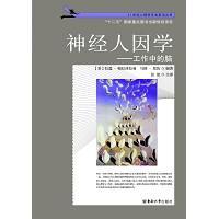 神经人因学
