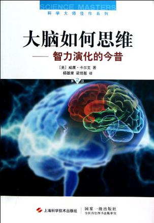 大脑如何思维