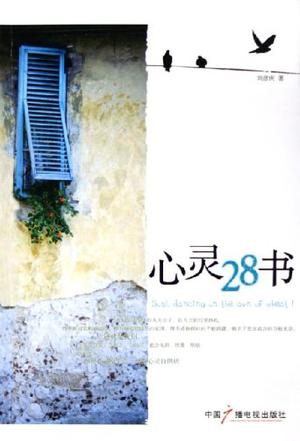 心灵28书