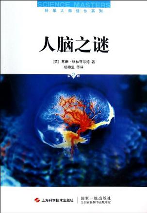 人脑之谜