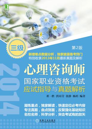 心理咨询师国家职业资格考试应试指导与真题解析（第2版）三级